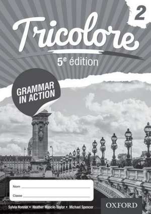 Tricolore Grammar in Action 2 (8 pack) de Sylvia Honnor