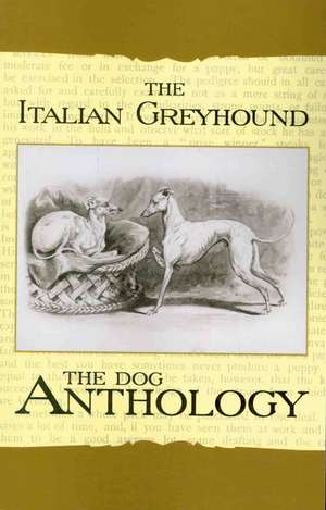 The Italian Greyhound de Various