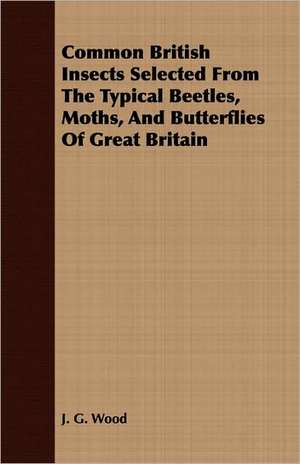 Common British Insects Selected from the Typical Beetles, Moths, and Butterflies of Great Britain: How to Identify Them de J. G. Wood