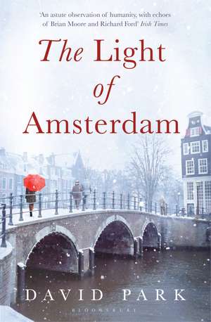 The Light of Amsterdam de David Park