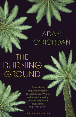 The Burning Ground de Adam O'Riordan