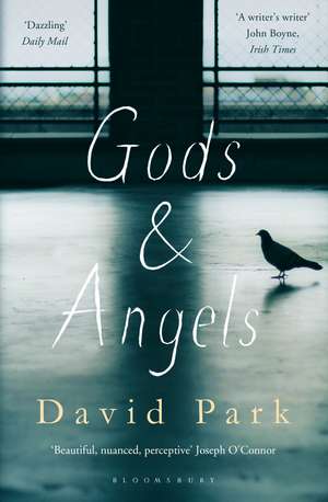 Gods and Angels de David Park