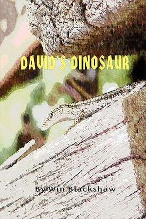 David's Dinosaur de Win Blackshaw