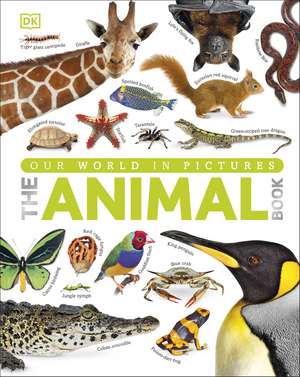 Our World in Pictures The Animal Book de DK