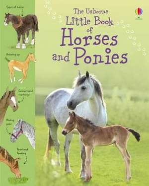 Little Book of Horses and Ponies de Sarah Khan