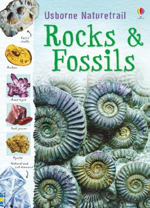 Rocks and Fossils de Struan Reid