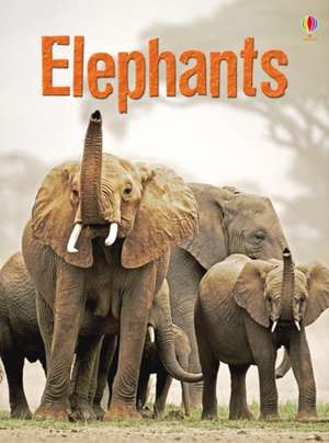 Maclaine, J: Elephants de James Maclaine