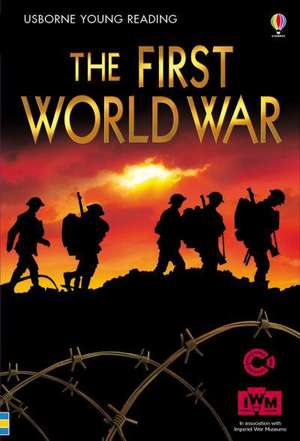 The First World War de Conrad Mason