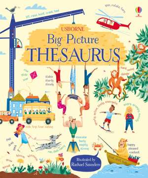 Big Picture Thesaurus de Rosie Hore