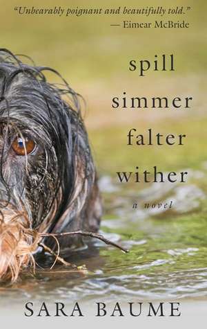 Spill Simmer Falter Wither de Sara Baume