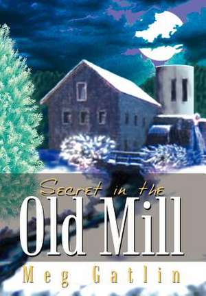 Secret in the Old Mill de Meg Gatlin