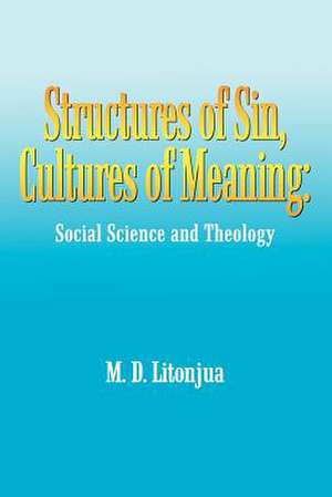 Structures of Sin, Cultures of Meaning de M. D. Litonjua