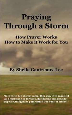 Praying Through a Storm de Sheila Gautreaux-Lee