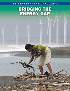 Bridging the Energy Gap de ANDREW LANGLEY