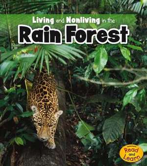 Living and Nonliving in the Rain Forest de Rebecca Rissman