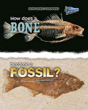 How Does a Bone Become a Fossil? de Melissa Stewart