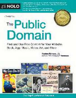 The Public Domain de Stephen Fishman