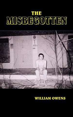 THE MISBEGOTTEN de William Owens