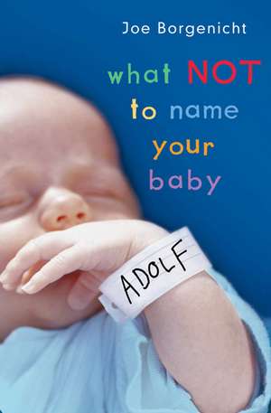 What Not to Name Your Baby de Joe Borgenicht