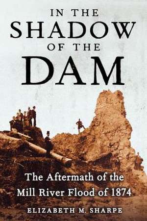 In the Shadow of the Dam de Elizabeth M. Sharpe