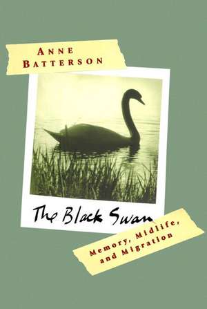 The Black Swan de Anne Batterson