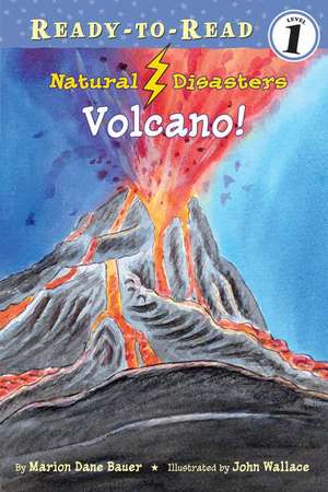 Volcano! de Marion Dane Bauer