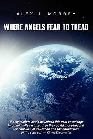 Where Angels Fear to Tread: The Nature of Reality and Meaning of God de Alex J. Morrey