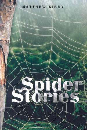 Spider Stories: Putting the Pieces Together After Divorce de Matthew Kirby