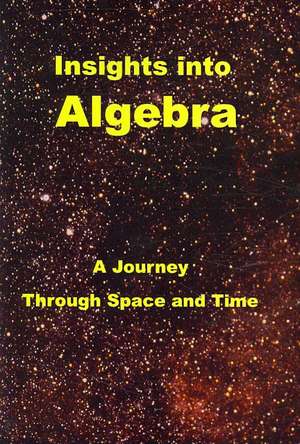 Insights Into Algebra: A Journey Through Space and Time de Robert C. Wrede