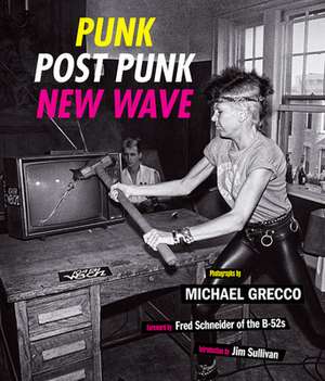 Punk, Post Punk, New Wave de Michael Grecco