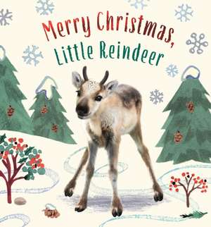 Merry Christmas, Little Reindeer de Amanda Wood