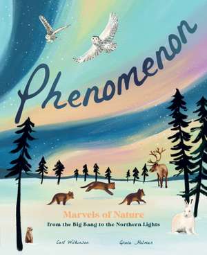 Phenomenon de Carl Wilkinson