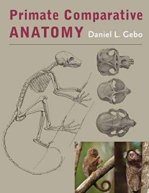 Primate Comparative Anatomy de Daniel L. Gebo