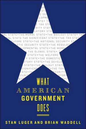 What American Government Does de Stan Luger