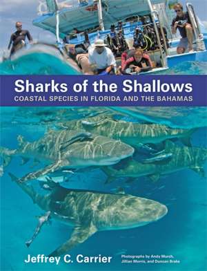 Sharks of the Shallows – Coastal Species in Florida and the Bahamas de Jeffrey C. Carrier