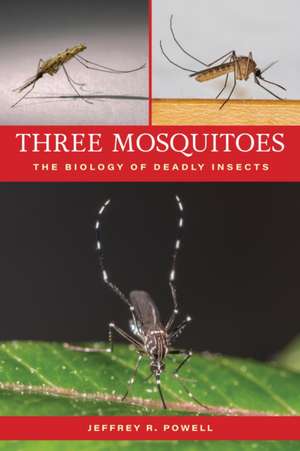 Three Mosquitoes de Jeffrey R. Powell