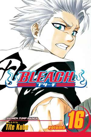 Bleach, Volume 16 de Tite Kubo