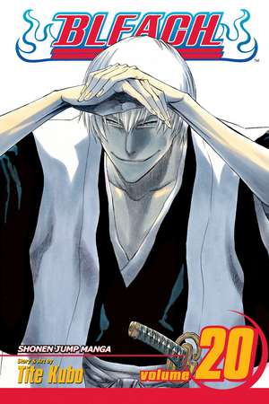 Bleach, Volume 20 de Tite Kubo