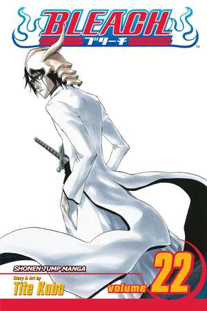 Bleach, Volume 22 de Tite Kubo