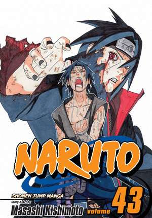 Naruto, Vol. 43 de Masashi Kishimoto