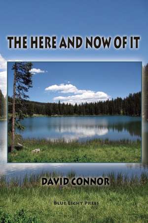 The Here and Now of It de David Connor