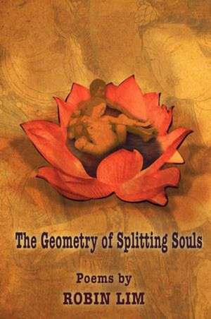 The Geometry of Splitting Souls: The Eternal Wisdom of Everlasting Happiness. de Robin Lim