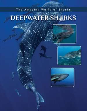 Hull, J: Deepwater Sharks