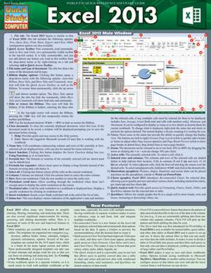 Excel 2013 de BarCharts Inc