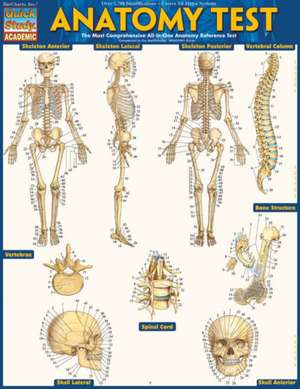 Anatomy Test de BarCharts Inc