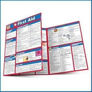 Mike, L: First Aid de Mike Livingston