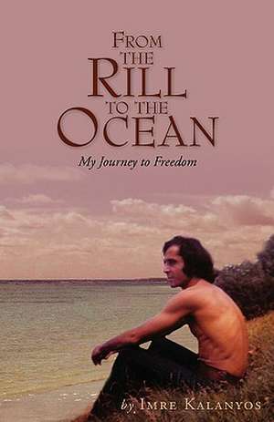 From the Rill to the Ocean de Imre Kalanyos