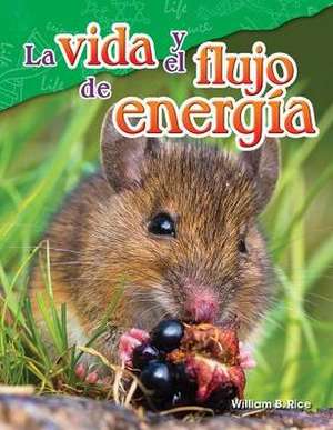 La Vida Y El Flujo de Energía de William B Rice