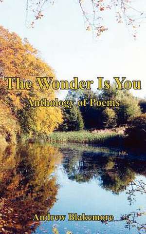 The Wonder Is You de Andrew Blakemore