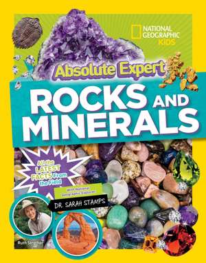 Absolute Expert: Rocks & Minerals de Ruth Strother